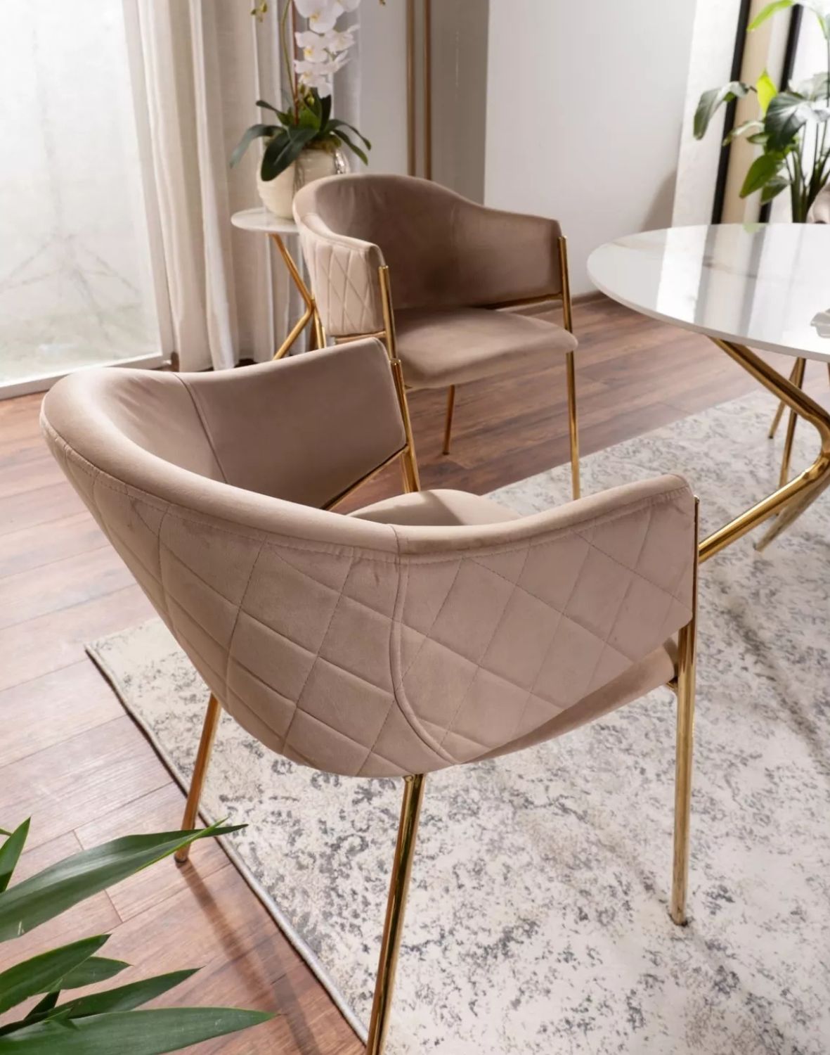 krzeslo bono velvet bez zloty