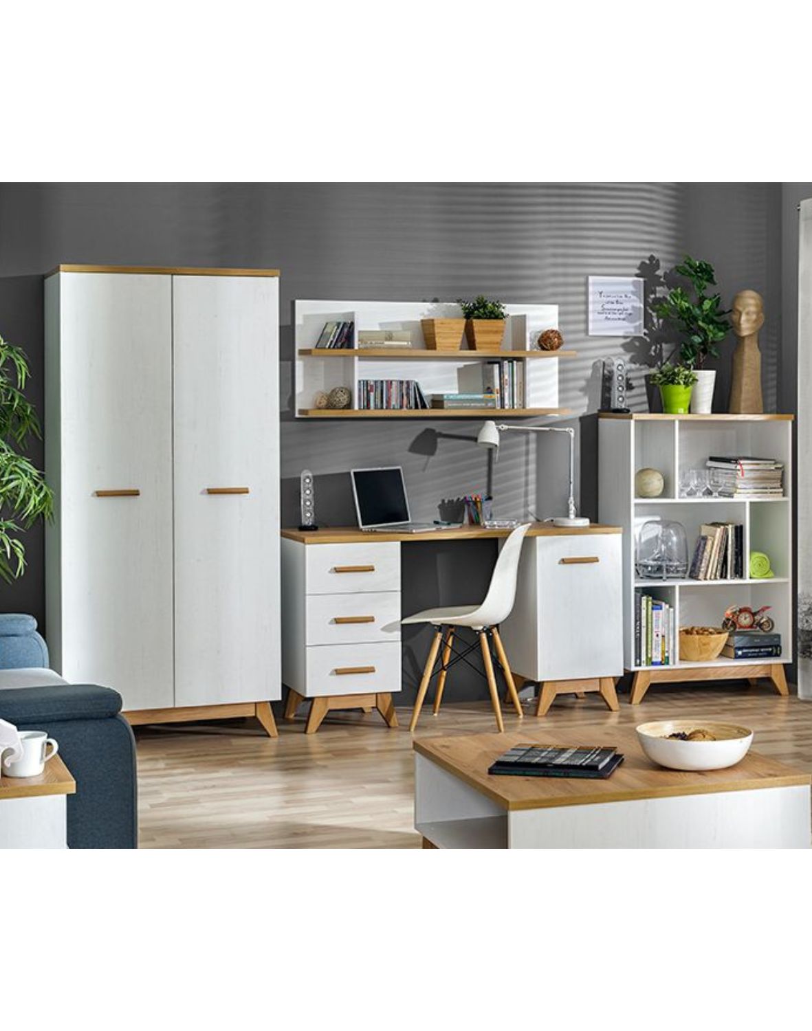 szafa-na-ubrania-sv1